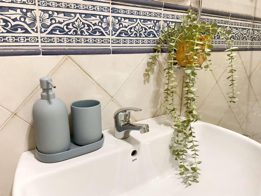 Ks Costa Mayka - San Jose - Kaleria Suites Екстериор снимка